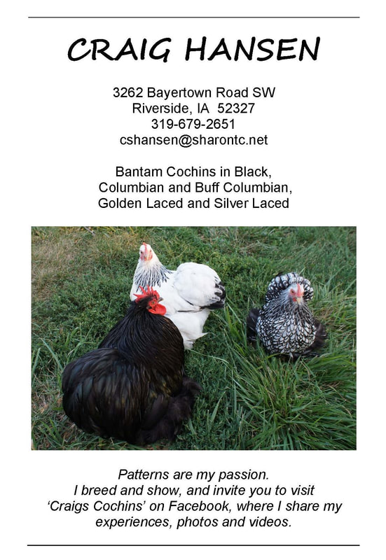 Coomer Farm- Exhibition Poultry & Equine